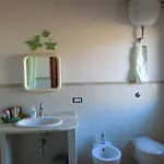 Al Ciclamino